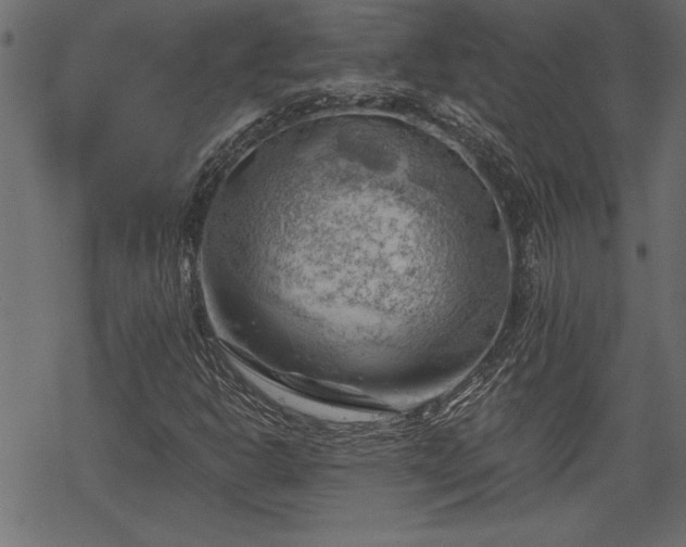 X0000068851302200605081204