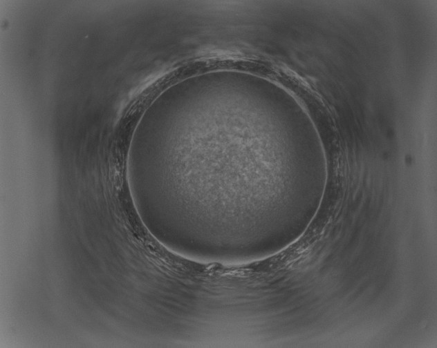 X0000068851303200605081204