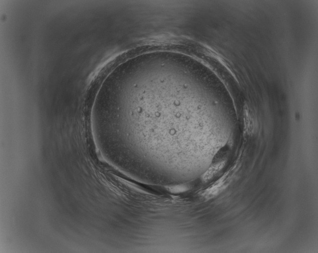 X0000068851304200605081204