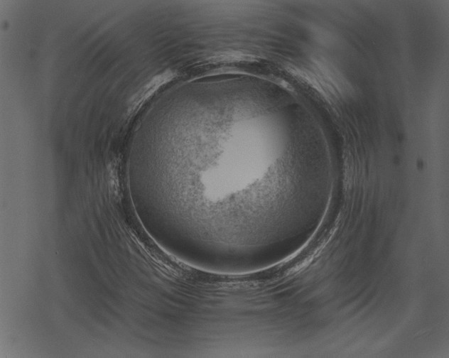 X0000068851305200605081204