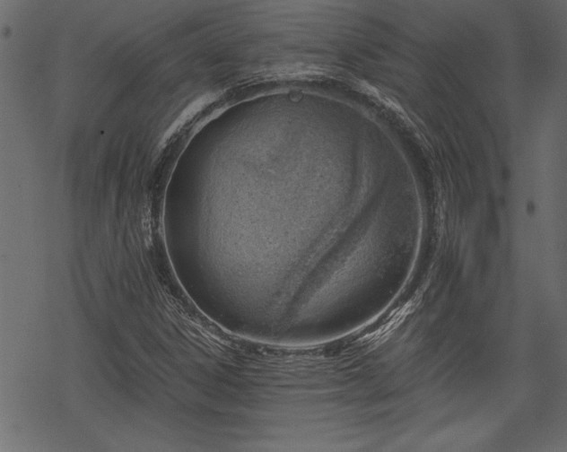 X0000068851306200605081204