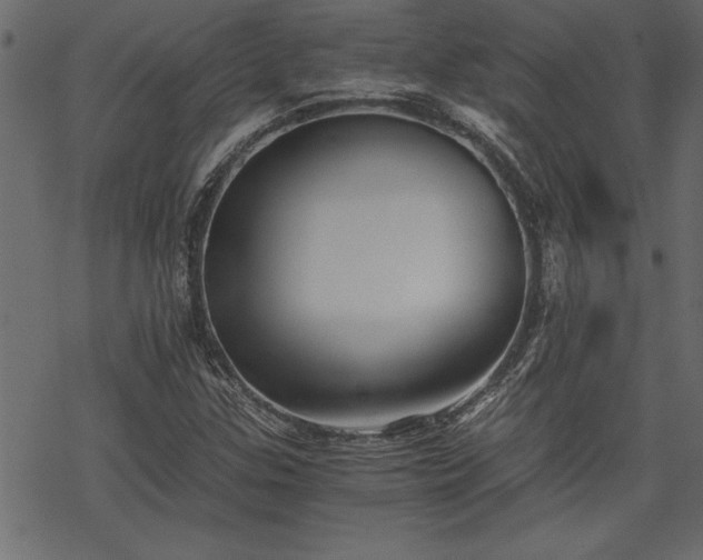 X0000068851307200605081204