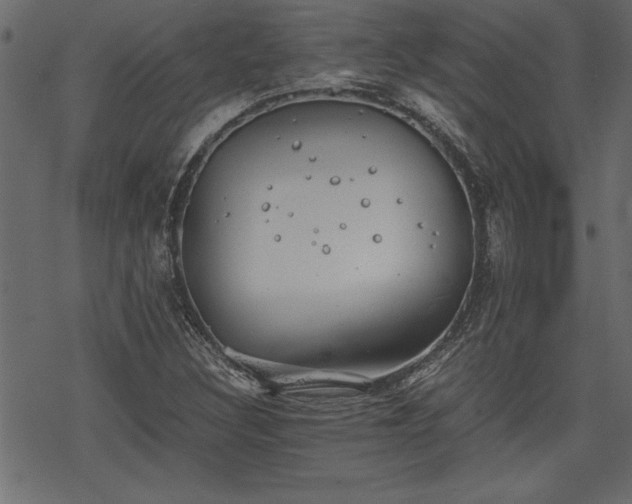 X0000068851308200605081204