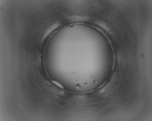 X0000068851309200605081204