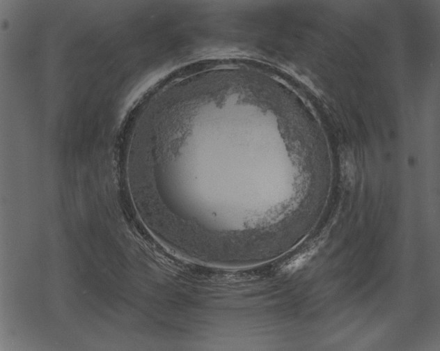 X0000068851311200605081204