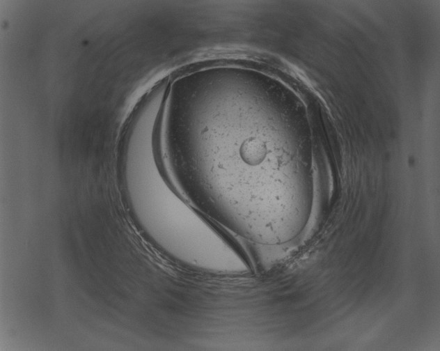 X0000068851312200605081204