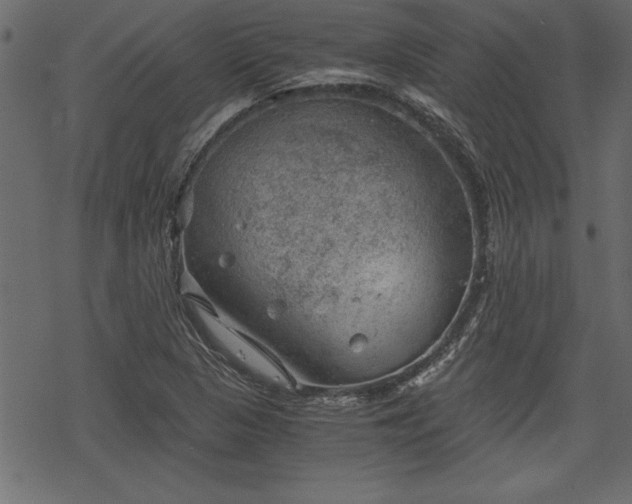 X0000068851313200605081204