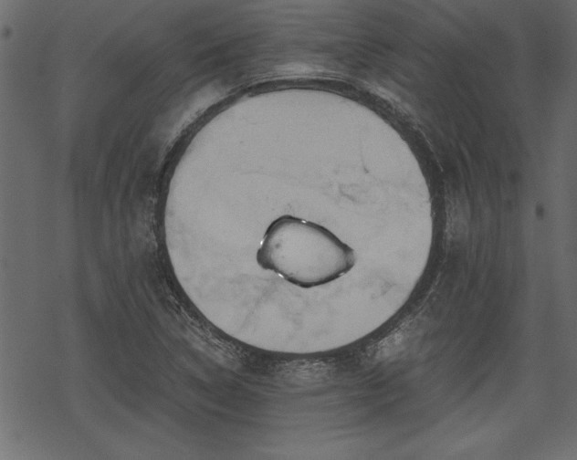 X0000068851314200605081204