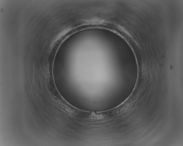 X0000068851315200605081205