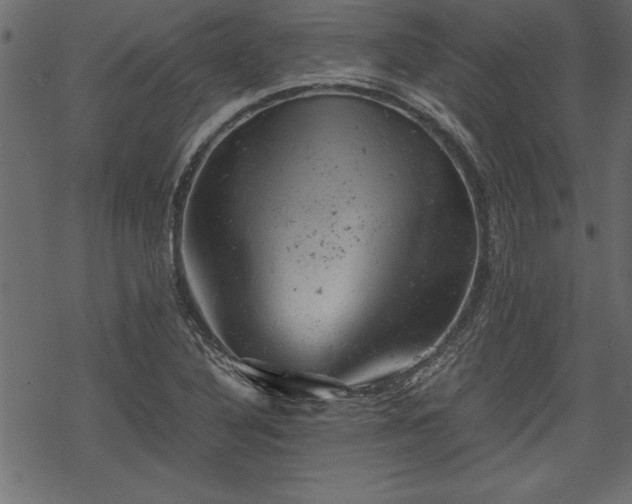 X0000068851316200605081205