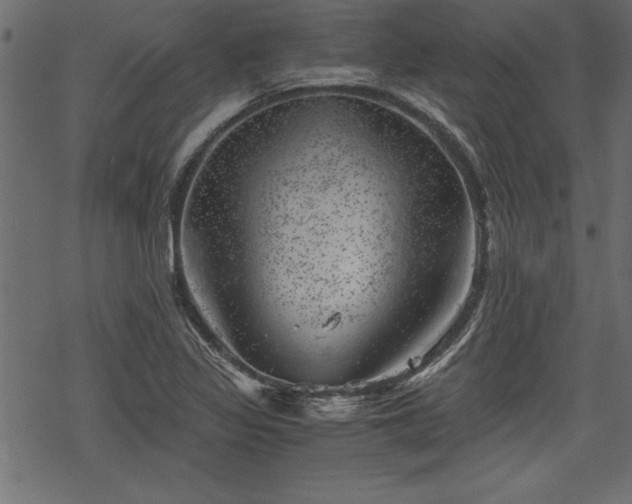 X0000068851317200605081205