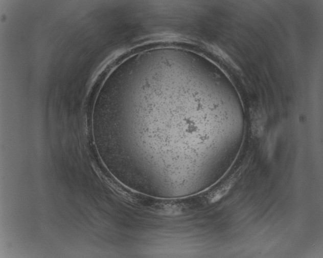 X0000068851318200605081205