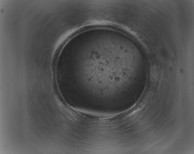 X0000068851319200605081205