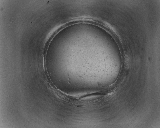 X0000068851320200605081205