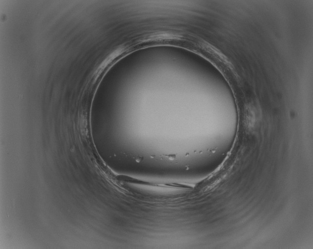 X0000068851321200605081205