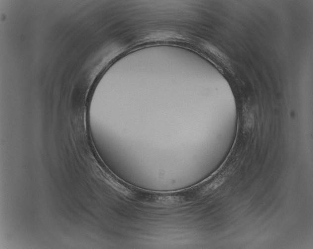 X0000068851322200605081205