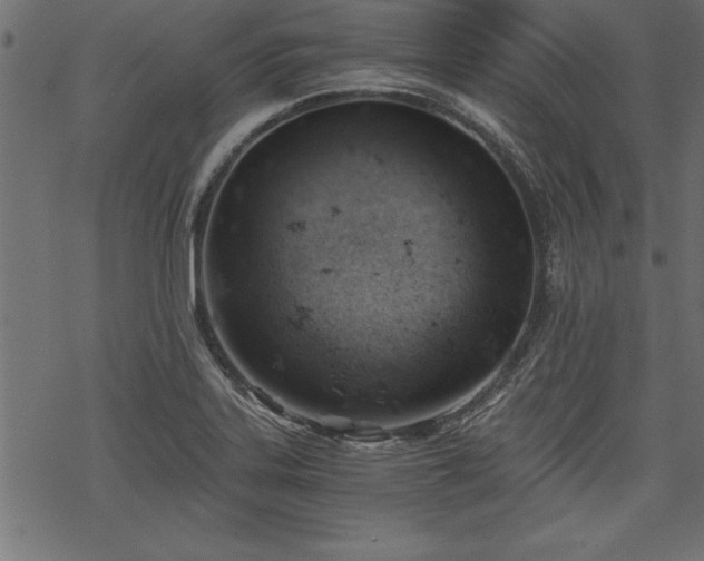 X0000068851323200605081205