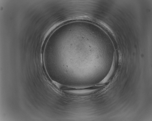 X0000068851324200605081205