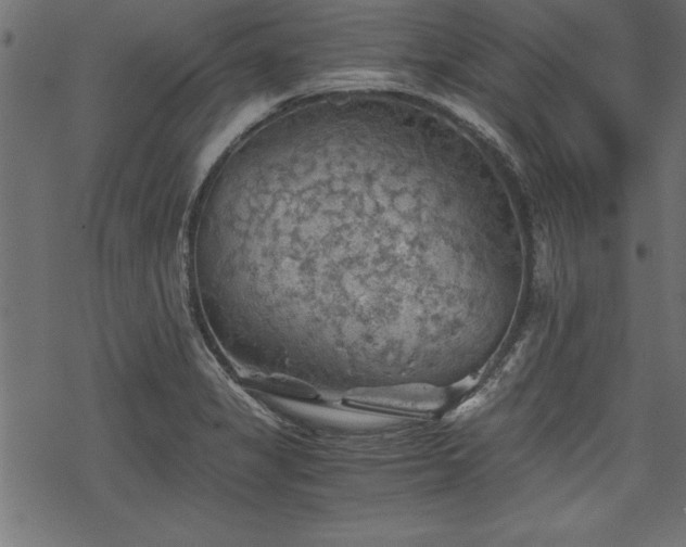 X0000068851325200605081205