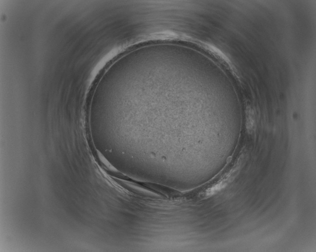 X0000068851326200605081205