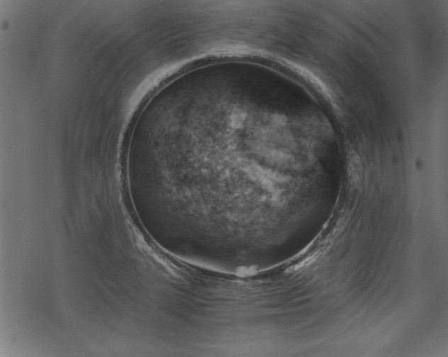 X0000068851327200605081205