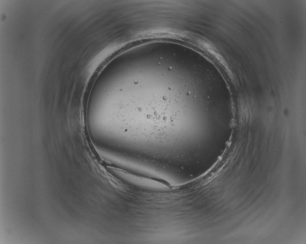 X0000068851328200605081205