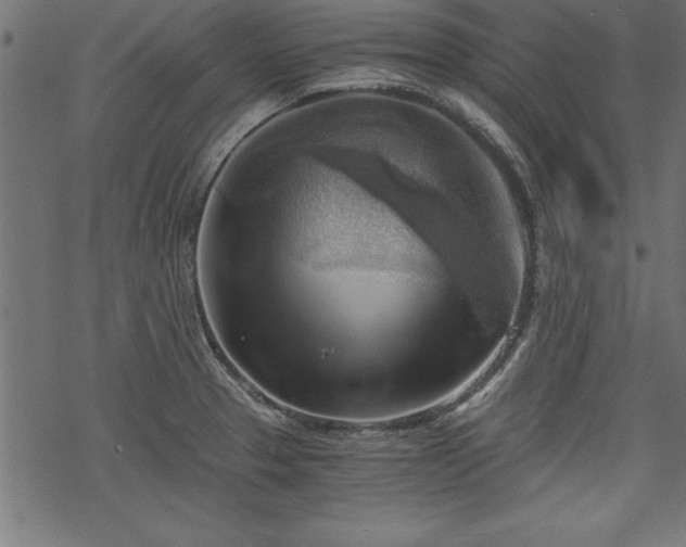 X0000068851329200605081205