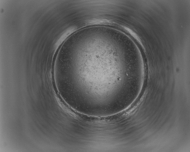 X0000068851330200605081205