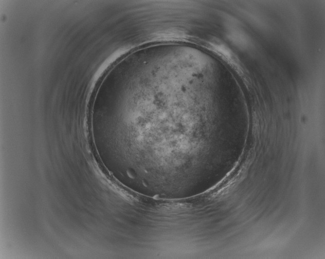 X0000068851331200605081205