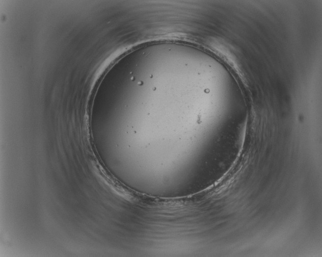 X0000068851332200605081205