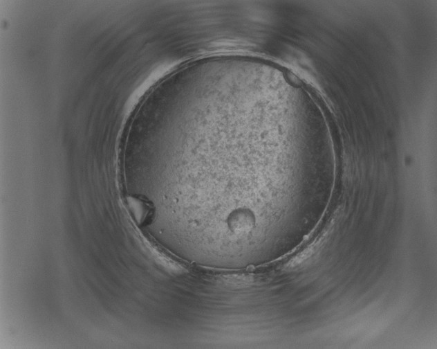 X0000068851333200605081205