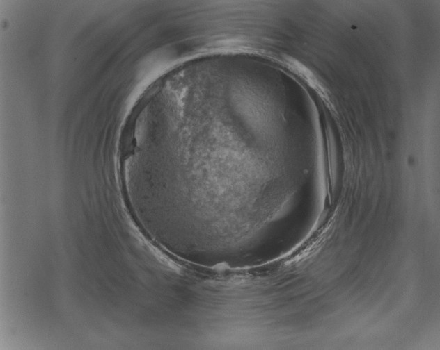 X0000068851334200605081205