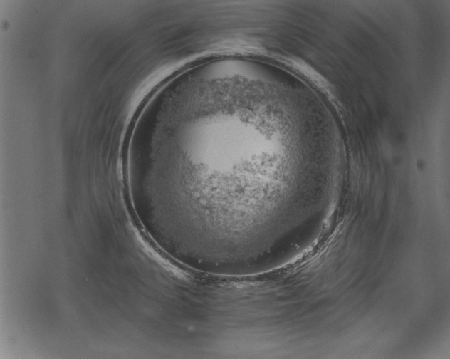 X0000068851335200605081205