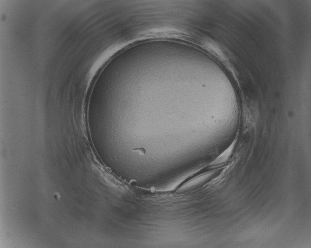 X0000068851336200605081205