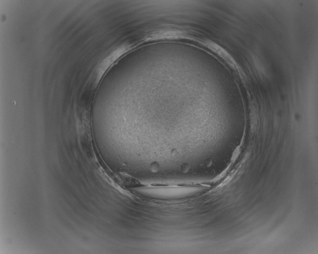 X0000068851337200605081205