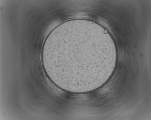 X0000068851338200605081205