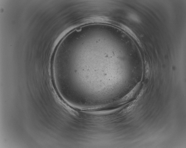 X0000068851339200605081205