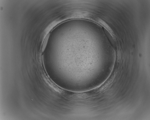 X0000068851340200605081205