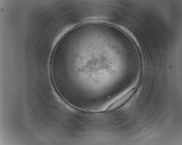 X0000068851341200605081205