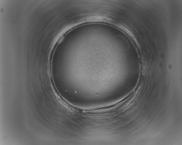 X0000068851342200605081205