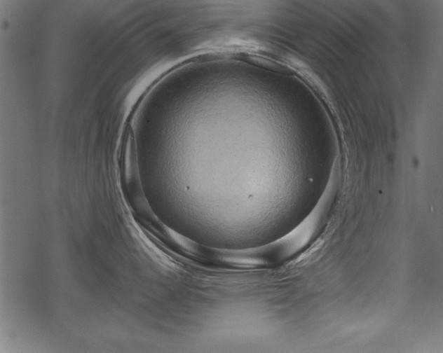 X0000068851344200605081205