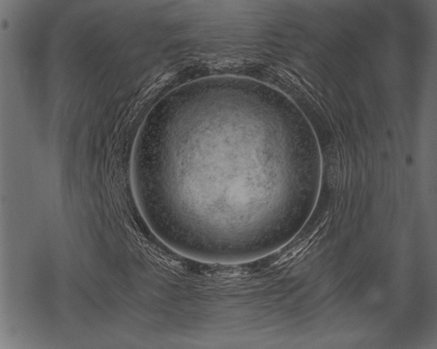 X0000068851345200605081204