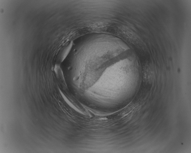 X0000068851346200605081204