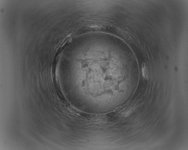 X0000068851347200605081204