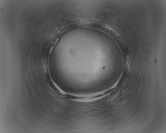 X0000068851348200605081204