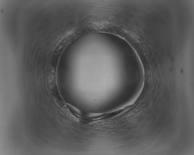 X0000068851349200605081204