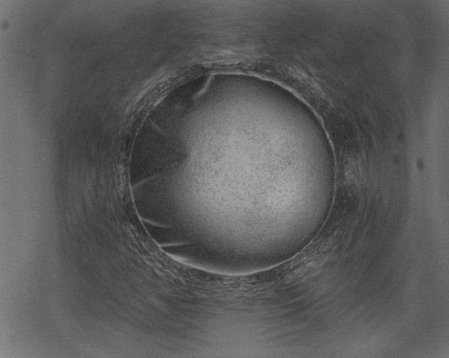 X0000068851350200605081204