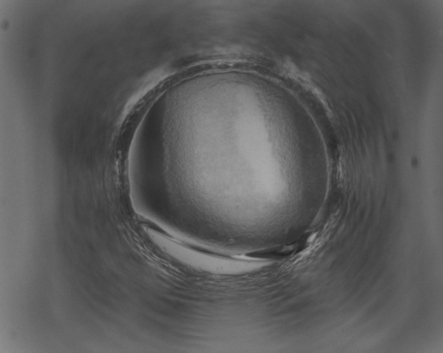 X0000068851352200605081204