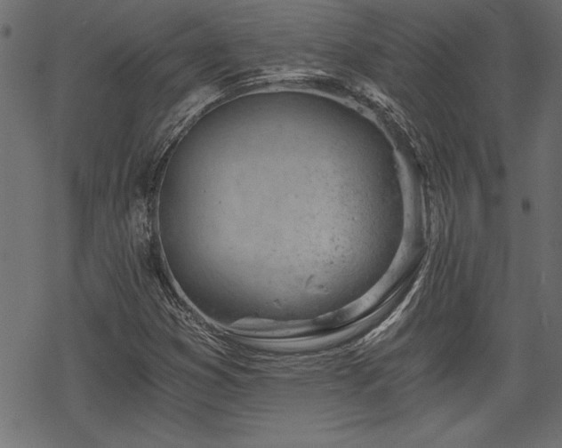 X0000068851353200605081204