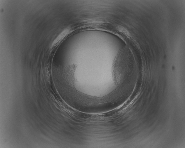 X0000068851354200605081204